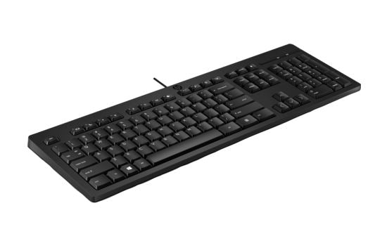 HP 125 Wired Keyboard - Compatible with Windows 10, Desktop PC, Laptop, Notebook USB Plug and Play Connectivity, Easy Cleaning 1YR WTY